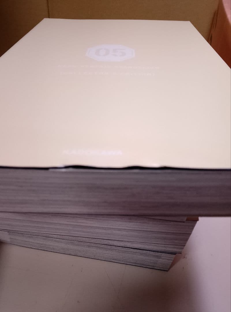 新世紀エヴァンゲリオン愛蔵版全７巻カドカワストア限定付録付BOX Aラングレー