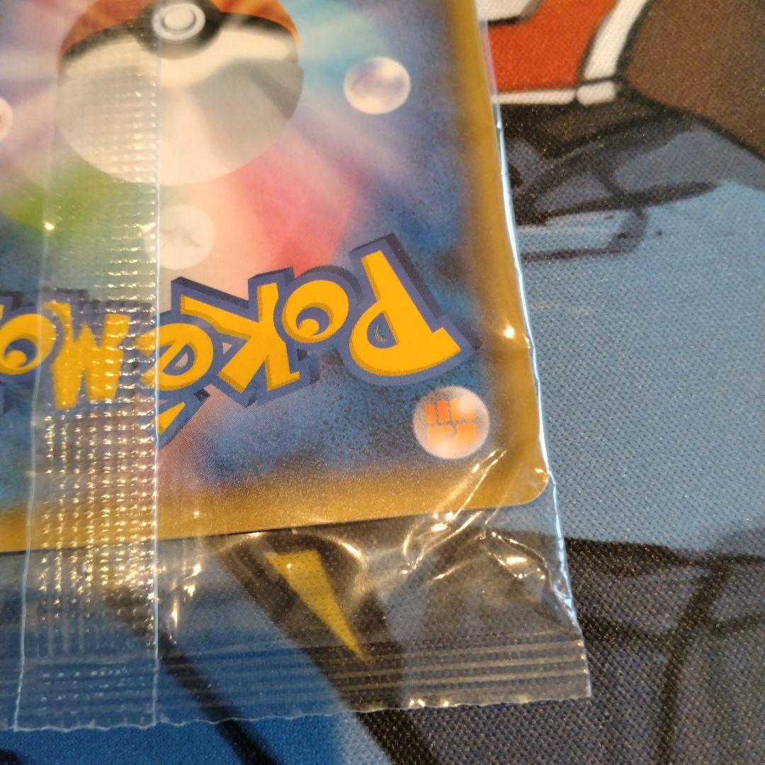 ポンチョを着たイーブイ リーフィア　未開封