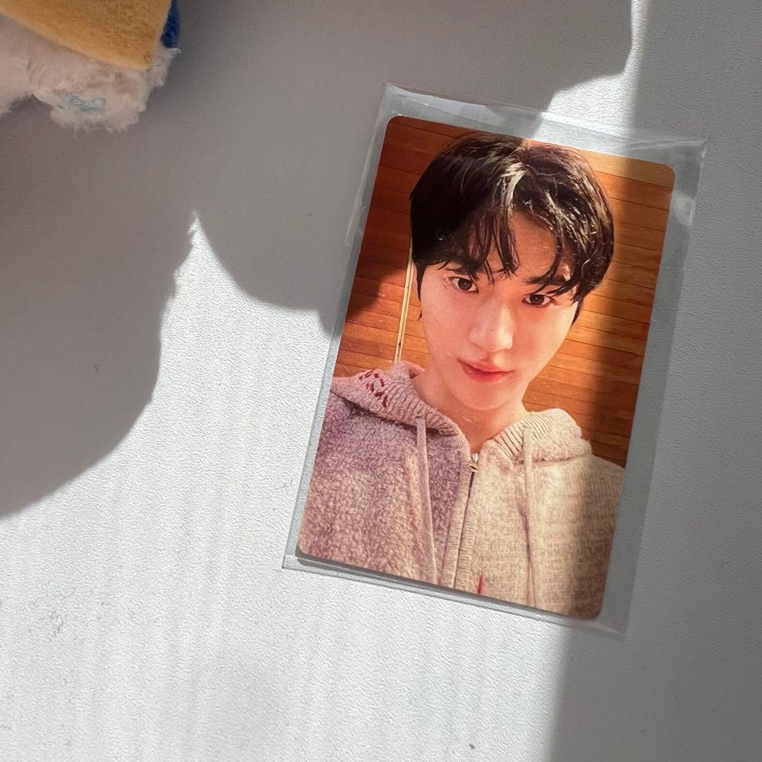 ビョンウソク ぬいぐるみキーリング セット　トレカ付　ピョンウソク