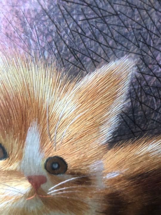 猫の絵画。珍品です。