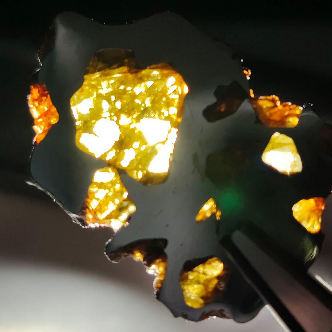 【パラサイト隕石】イミラック隕石 9g ケース&ネームカード付き NO.341