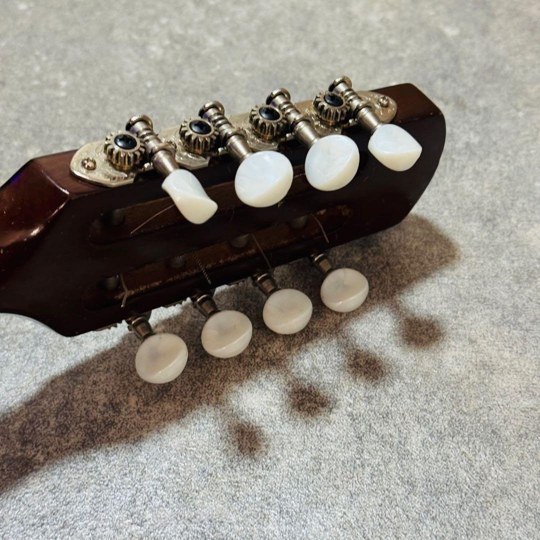 マンドリン SUZUKI M-30 弦楽器 ハードケース付き