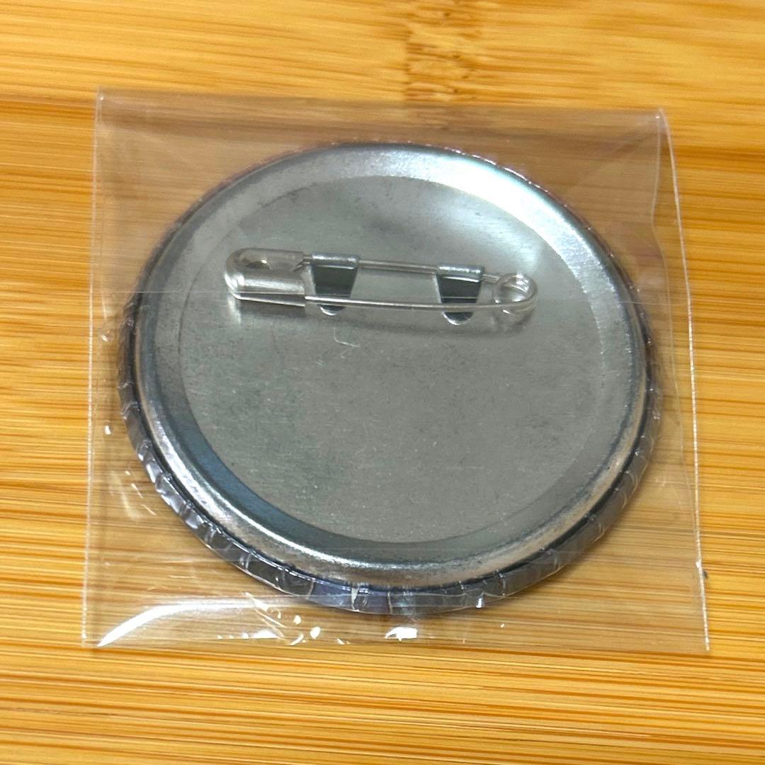 REBORN 怪物づかいツナ 沢田綱吉 缶バッジ