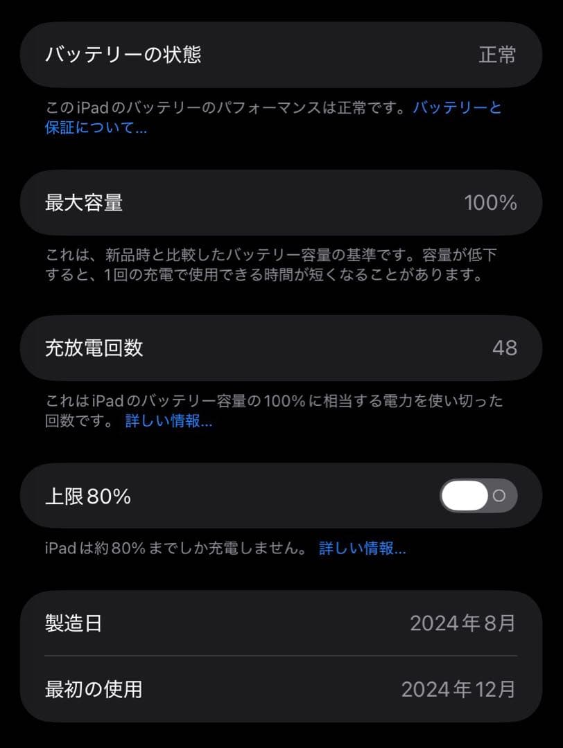 iPad mini a17pro 256GB ケース付き