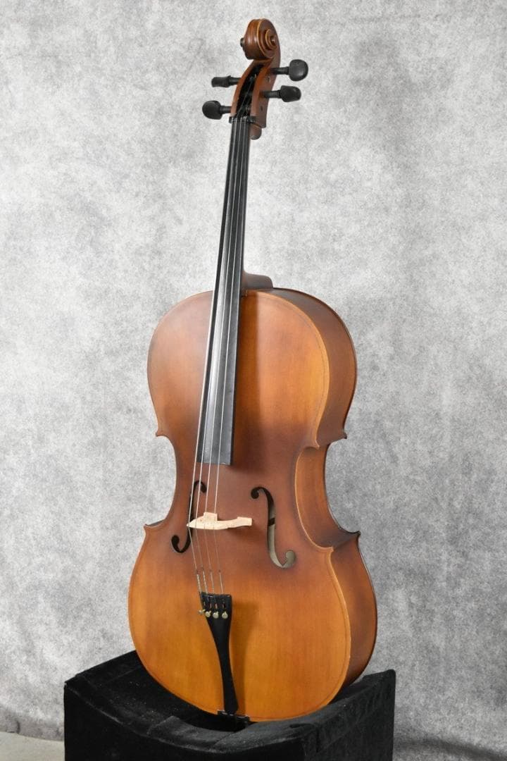 【動作品】Hallstatt HC-450 チェロ ハルシュタット　ケース付き