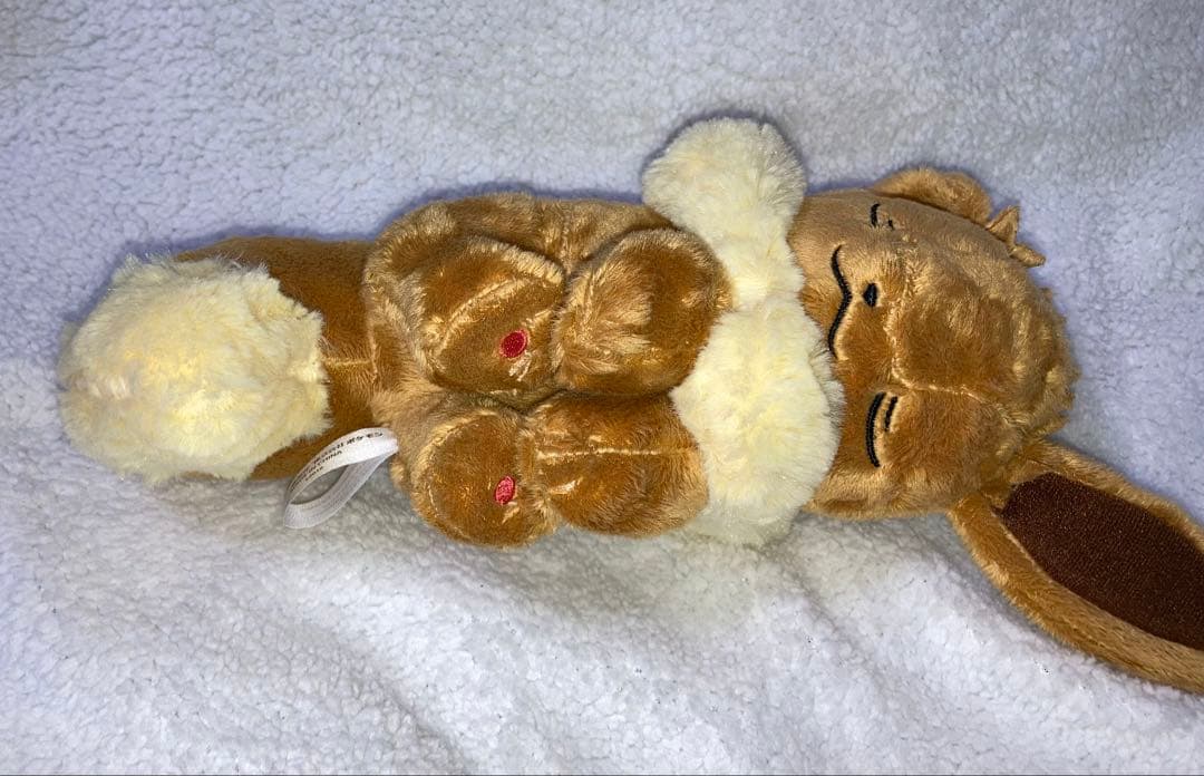 イーブイ ぬいぐるみ まとめ売り ポケモン