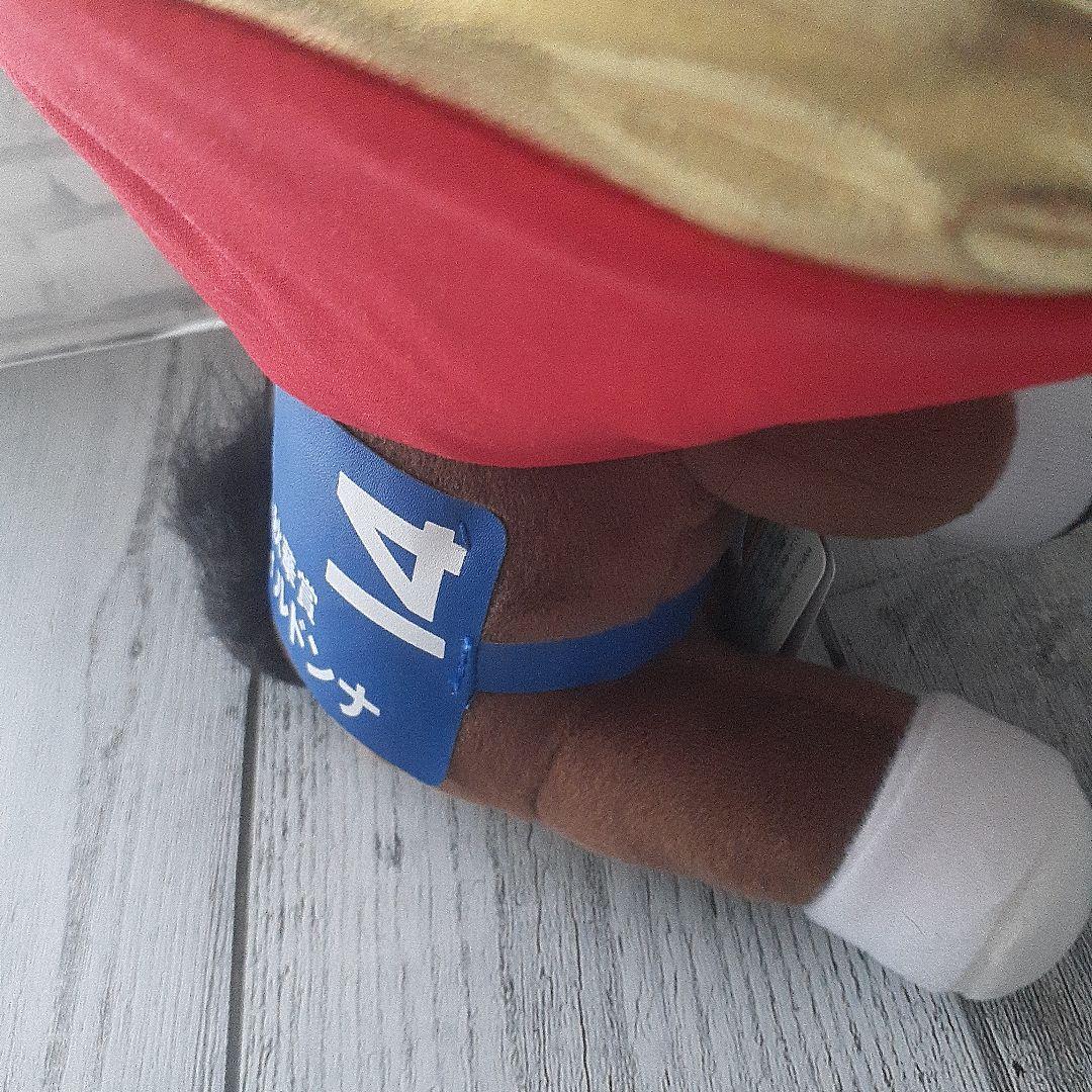 アイドルホース　ジェンティルドンナ