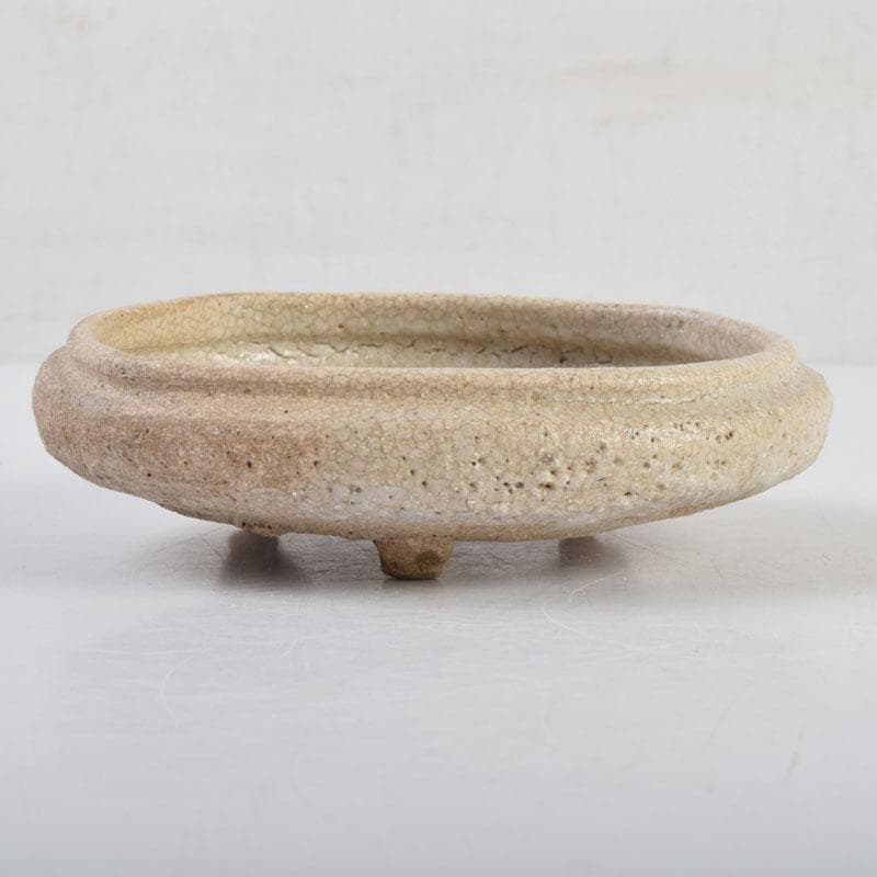 北大路魯山人作　志野焼　絵志野　鉄絵花草文　皿　五客　時代箱　M　8880