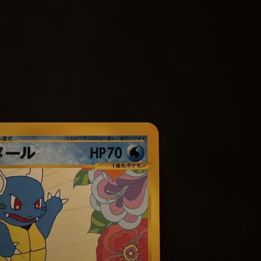 リザード・カメール・トレーナーズマガジンプロモまとめ売