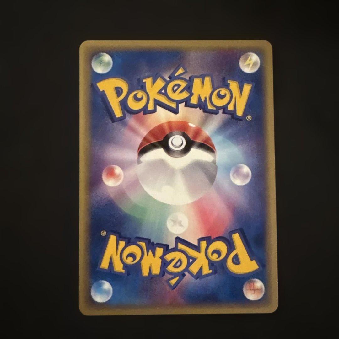 リザード・カメール・トレーナーズマガジンプロモまとめ売