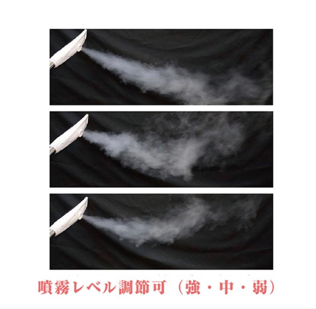 Sonia FV-801 フェイススチーマー　美品　エステサロン　フェイシャル