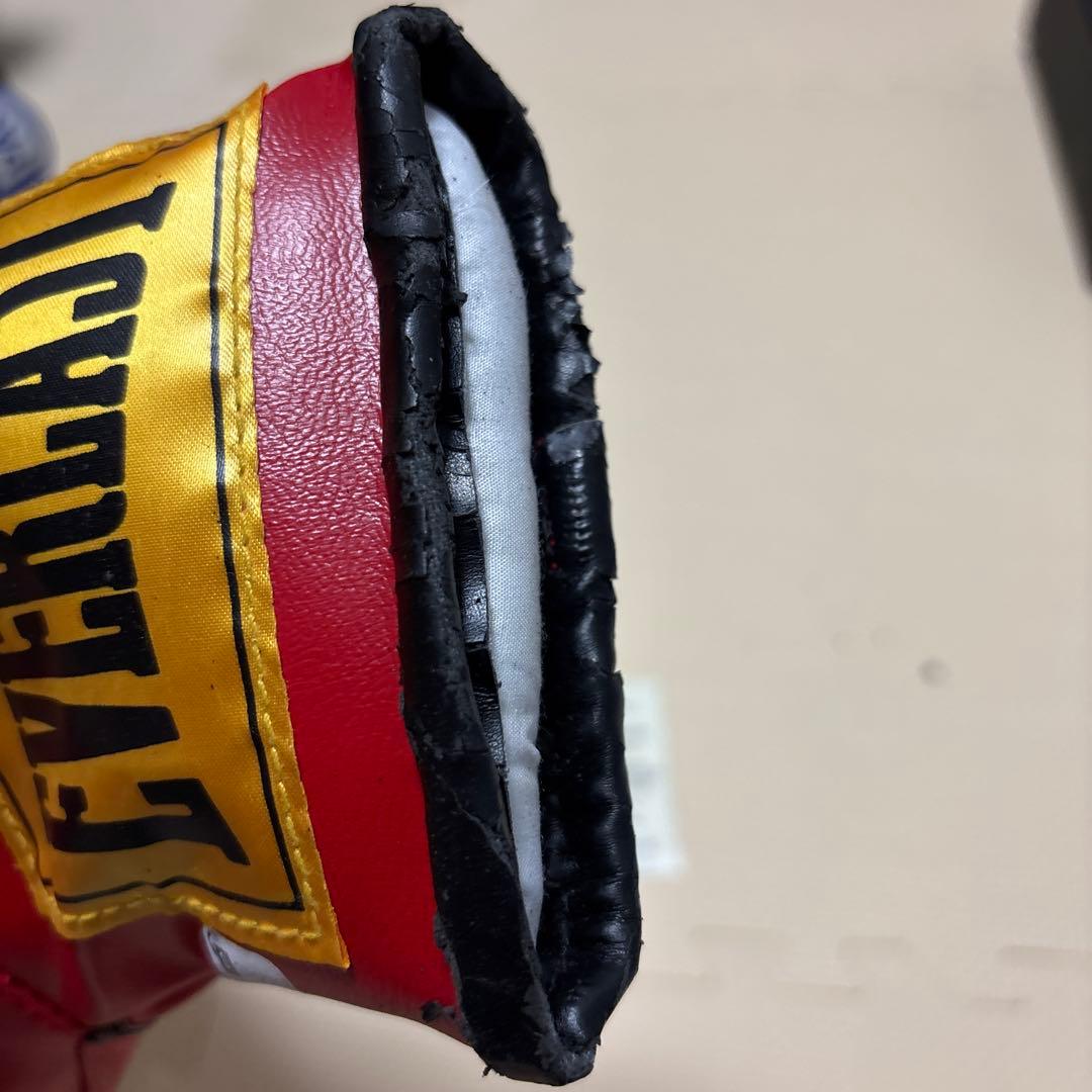 【お宝】シュガーレイレナード　サイン入りグローブ