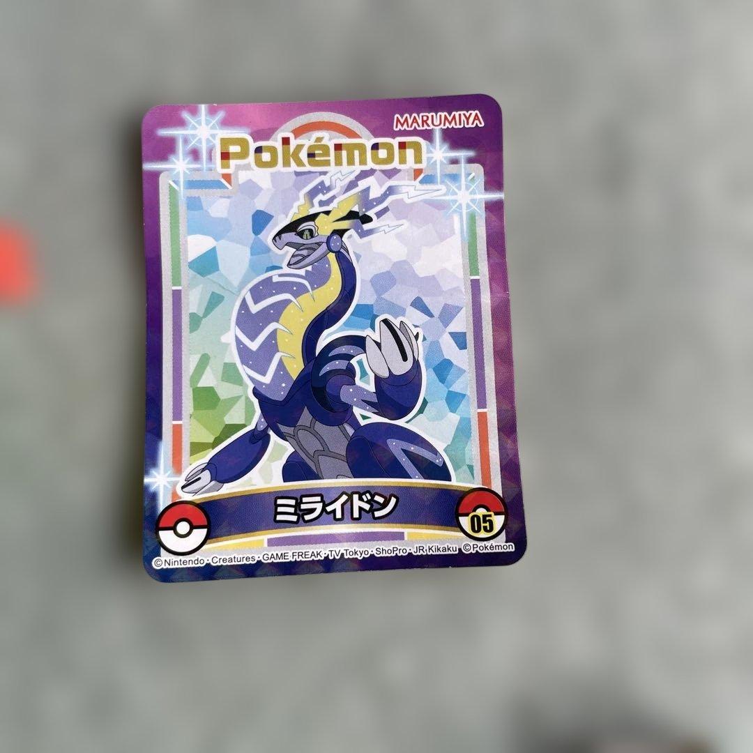 ポケモン　バラエティ