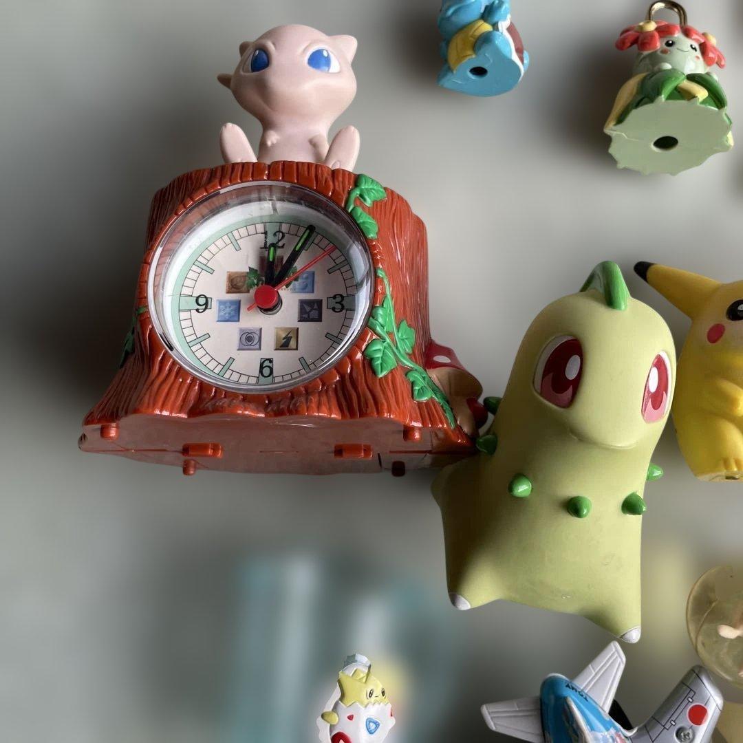 ポケモン　バラエティ