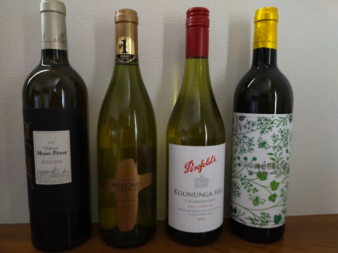 【10本セット】多様なワインセット（やや辛口〜辛口）