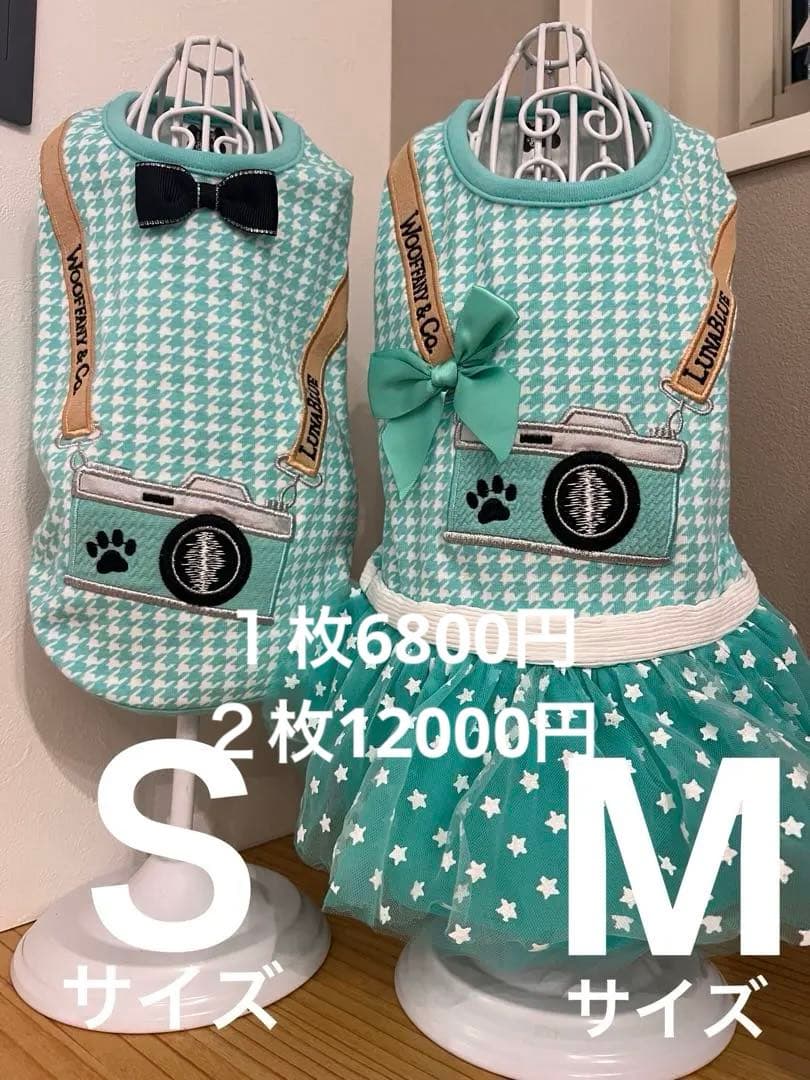 レア！ルナブルー　Woofanny & Co. カメラ犬服