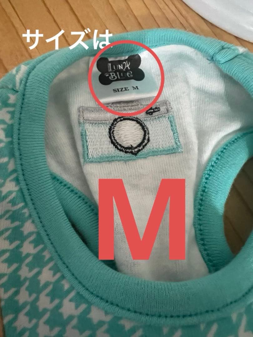 レア！ルナブルー　Woofanny & Co. カメラ犬服