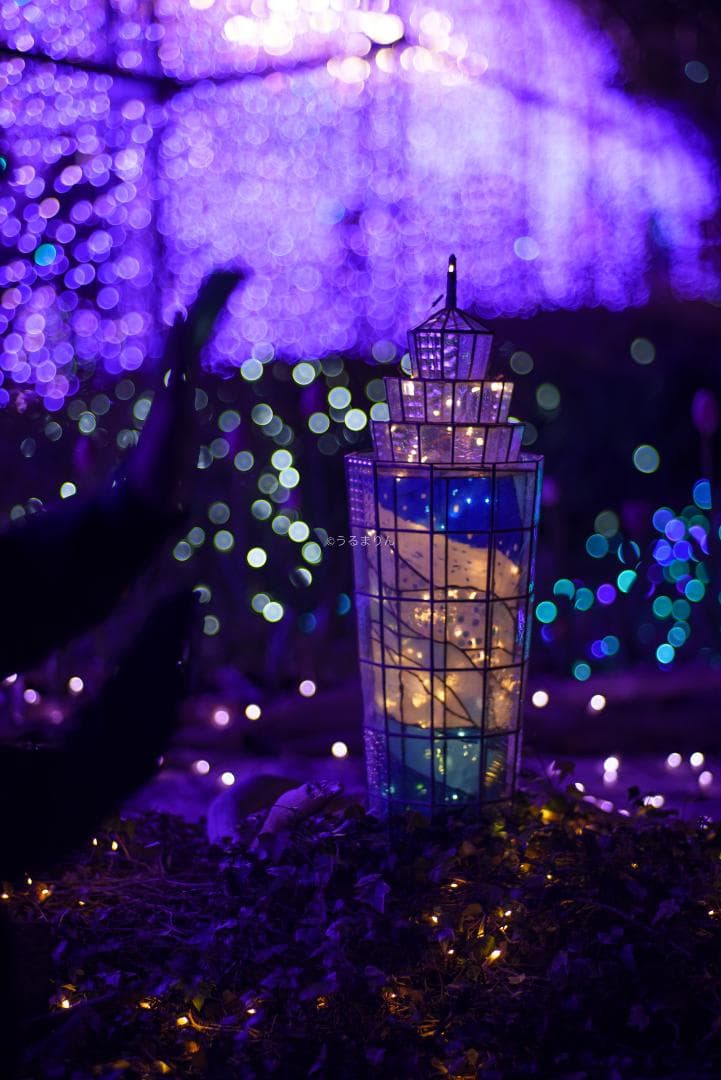 OH済！ポートレートに！CONTAX Planar 85mm F1.4 AEG