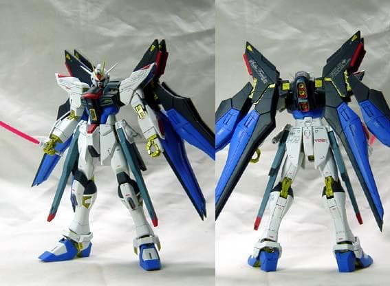 MG2体セット ストライクフリーダム デスティニー / ガンプラ塗装済完成品