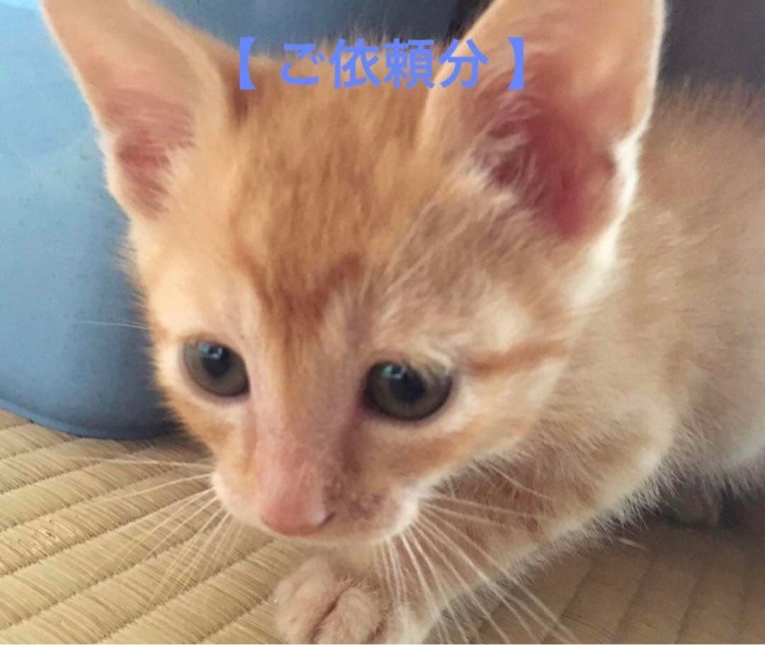 【 トラブル防止のためプロフお読みください零 】 様