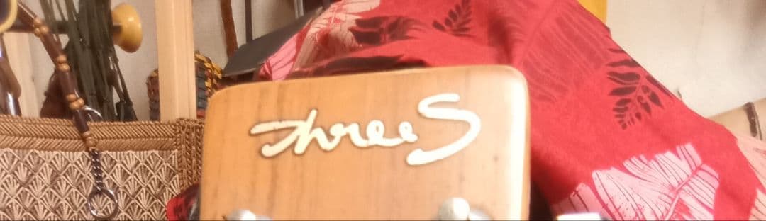 アコースティックギター鈴木バイオリン　ジャパンビンテージ