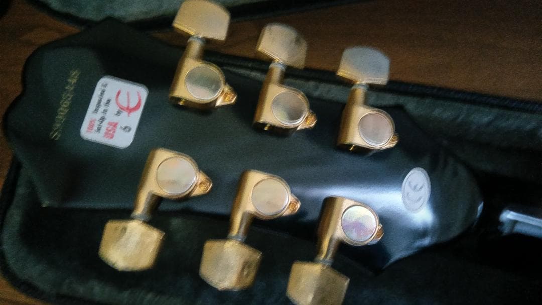 Epiphone Chetatkins SST Studio レフティ エレアコ