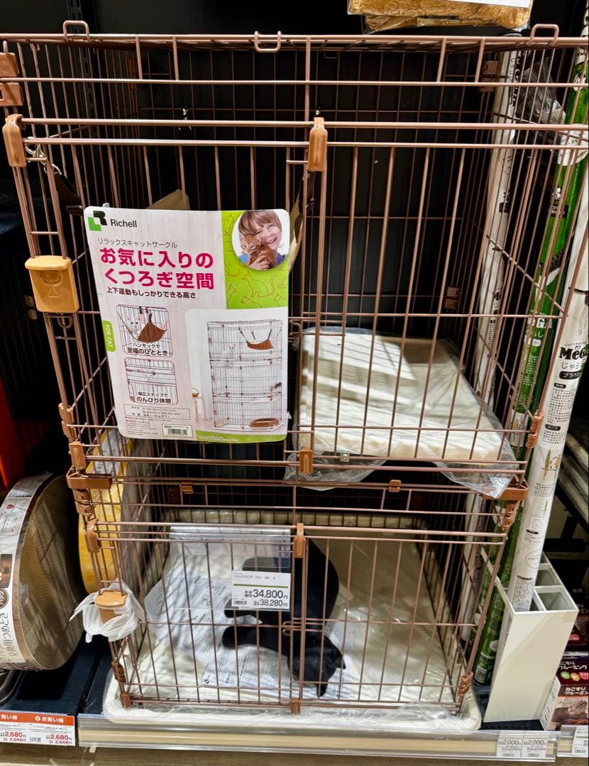 Richell キャットケージ 2段式 リラックスCサークル BR S