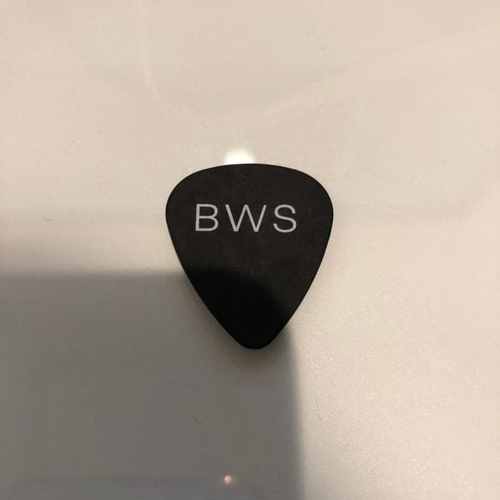 コレクション Bradley Will Simpson Guitar Pick
