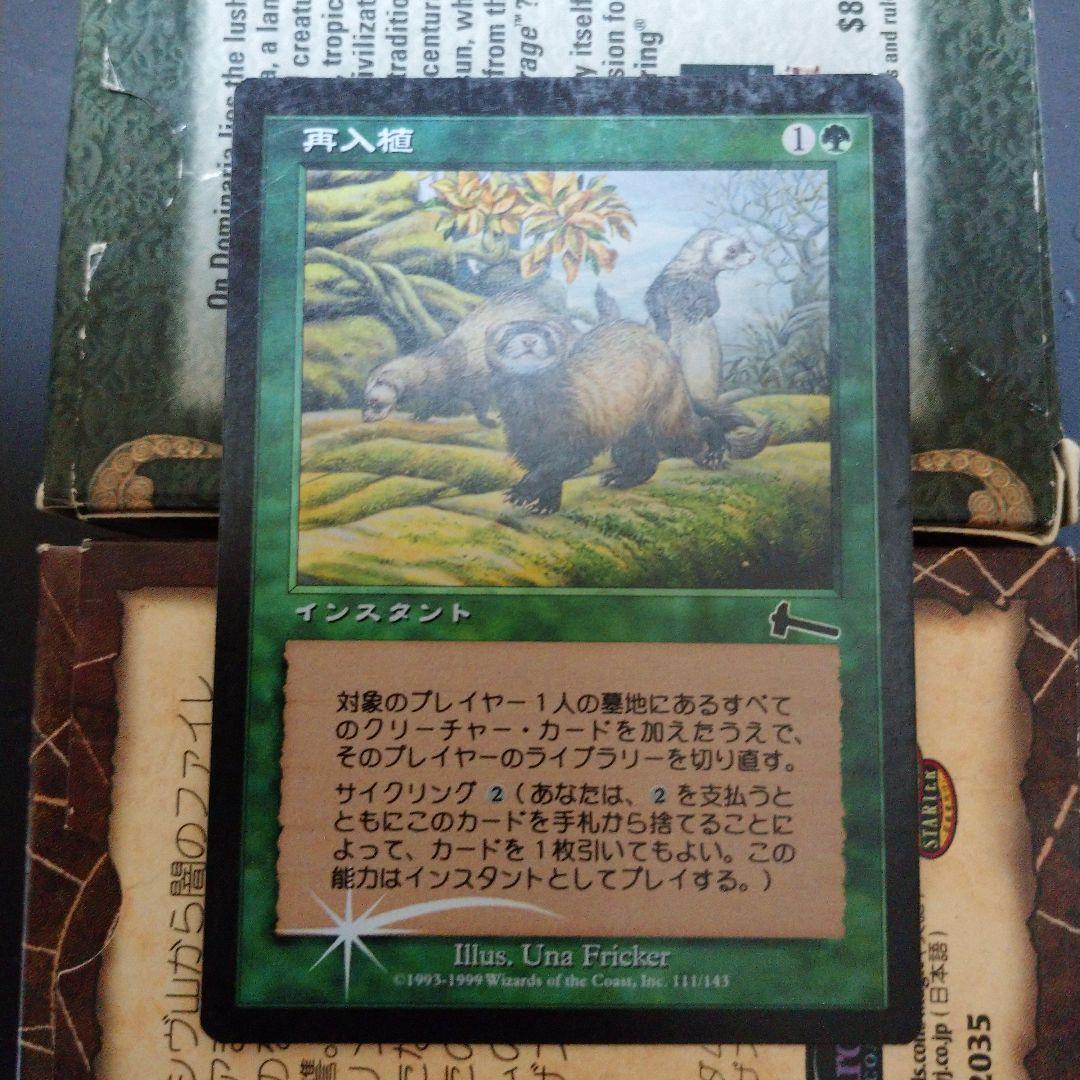 MGT 再入植 日本語 インスタント Foilカード キラ 箔押し プレミアム