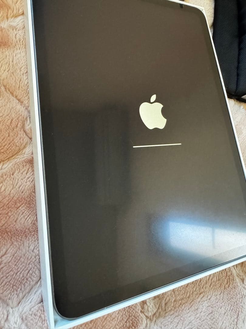 Apple iPad Pro 11インチ(2018) 256GB WIFIモデル