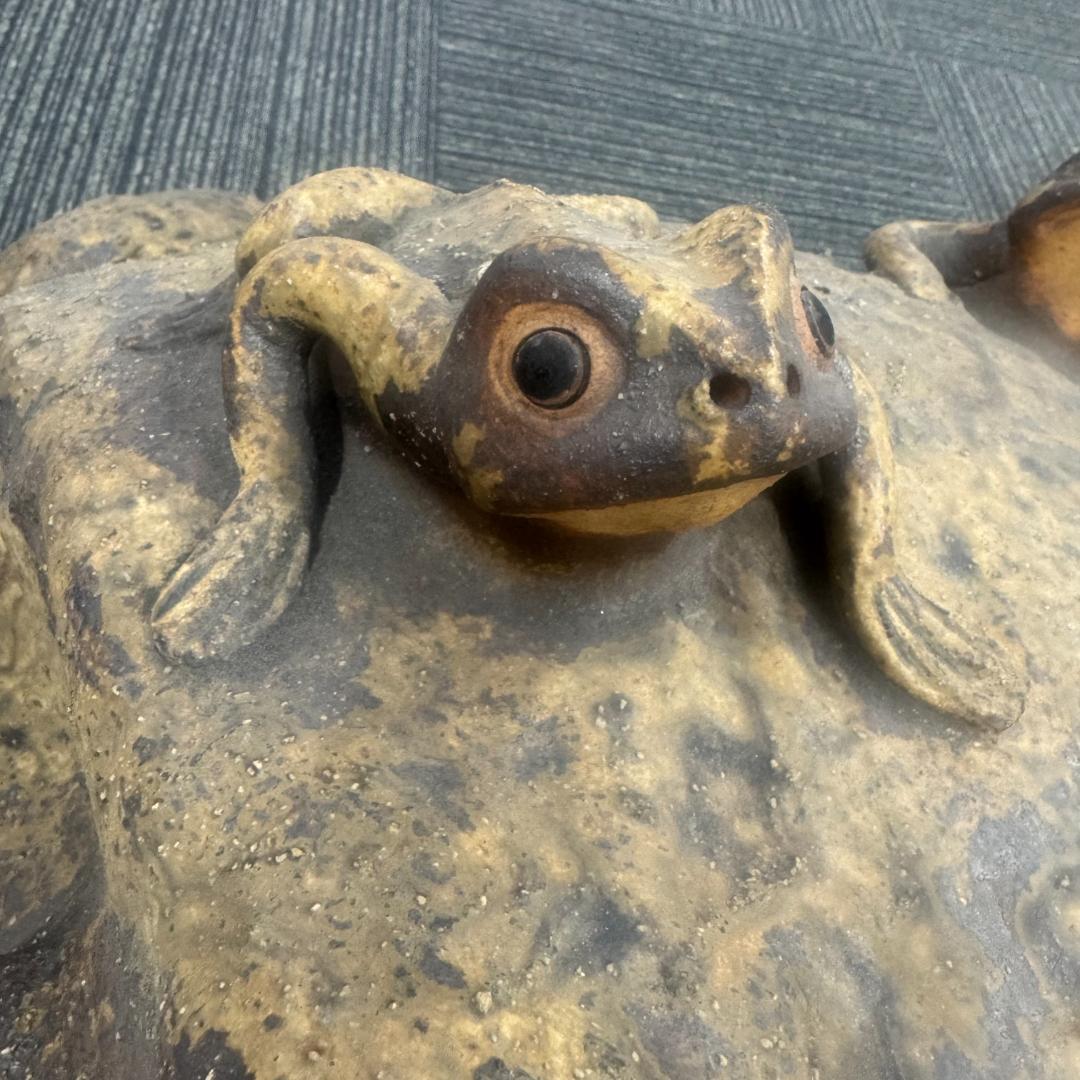 信楽焼 親子蛙 かえる 置物 蛙 カエル 縁起物