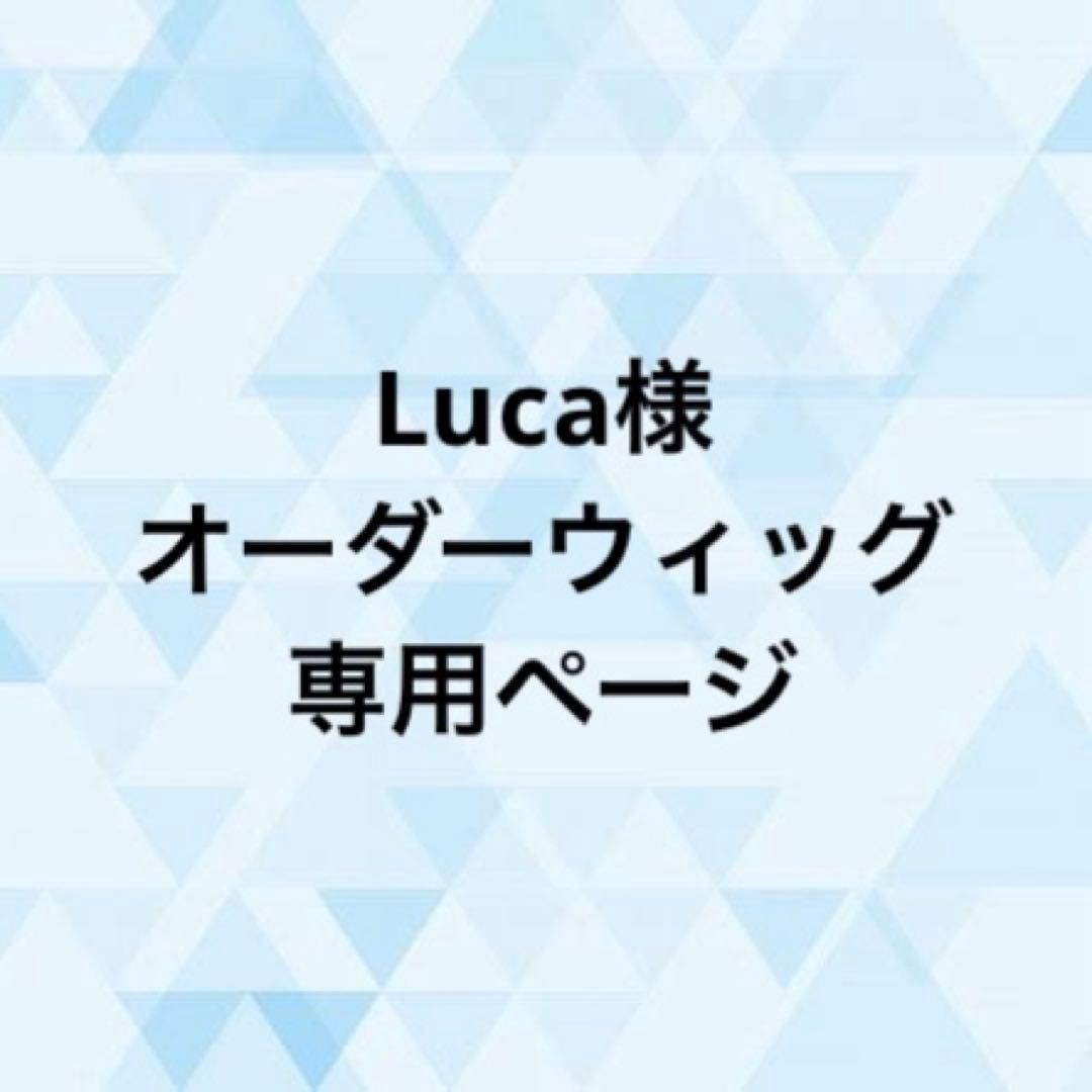 Luca様 オーダーウィッグ 《茅ヶ崎至》