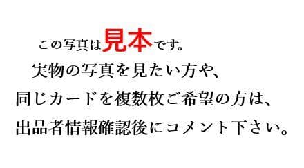 スカーレッド・ノヴァ・ドラゴン　STBL-JP041　整理番号、2139-3
