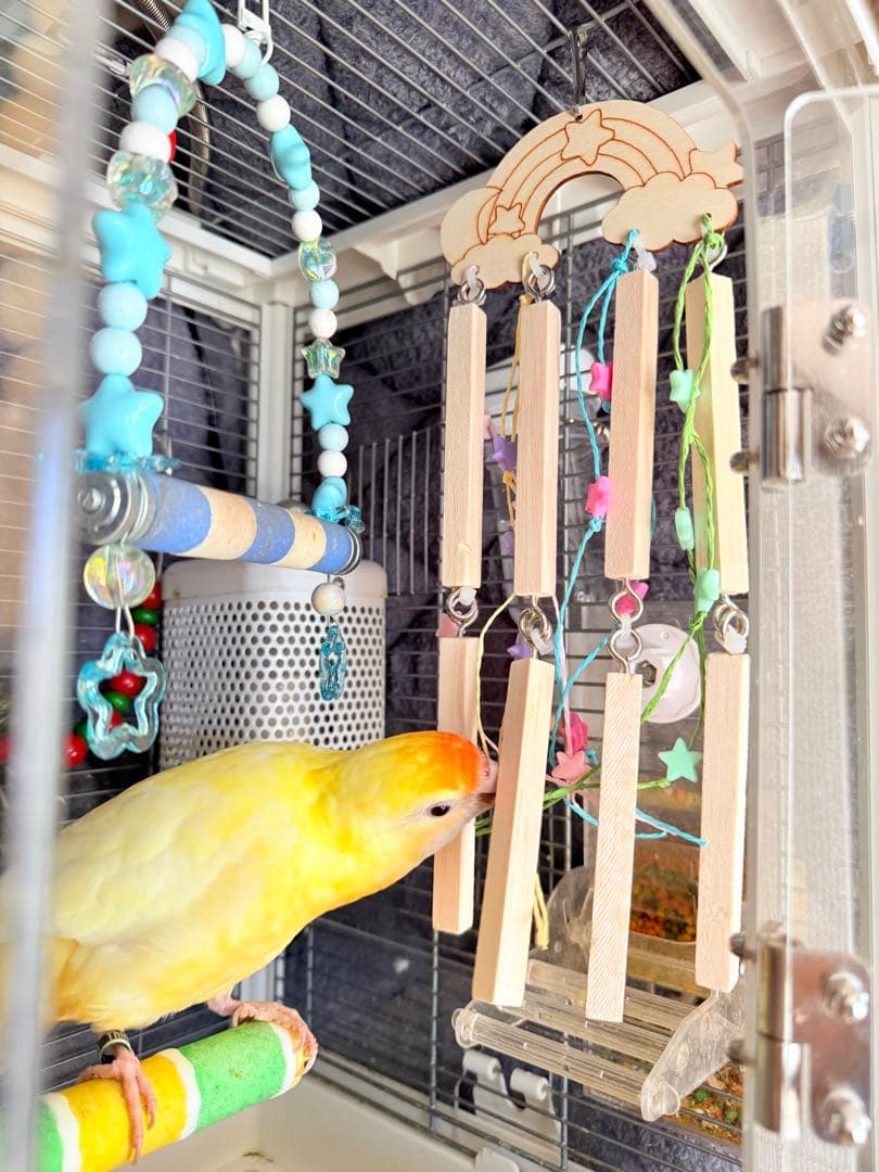 インコのおもちゃ 作品紹介