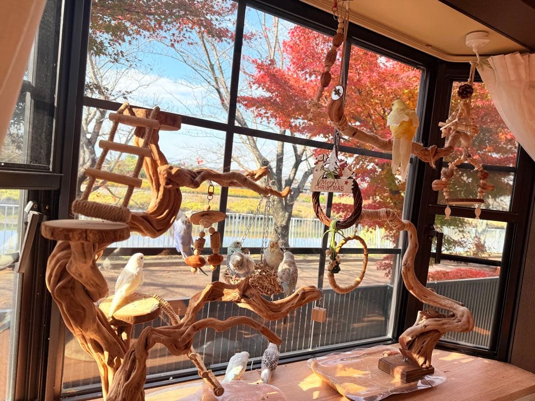 インコのおもちゃ 作品紹介