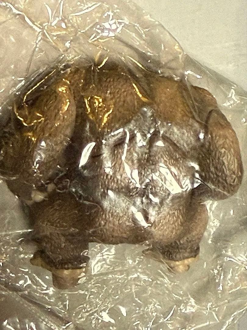 ドラゴンボールカプセル この世はでっかい宝島 ドラゴンボールクロニクル編