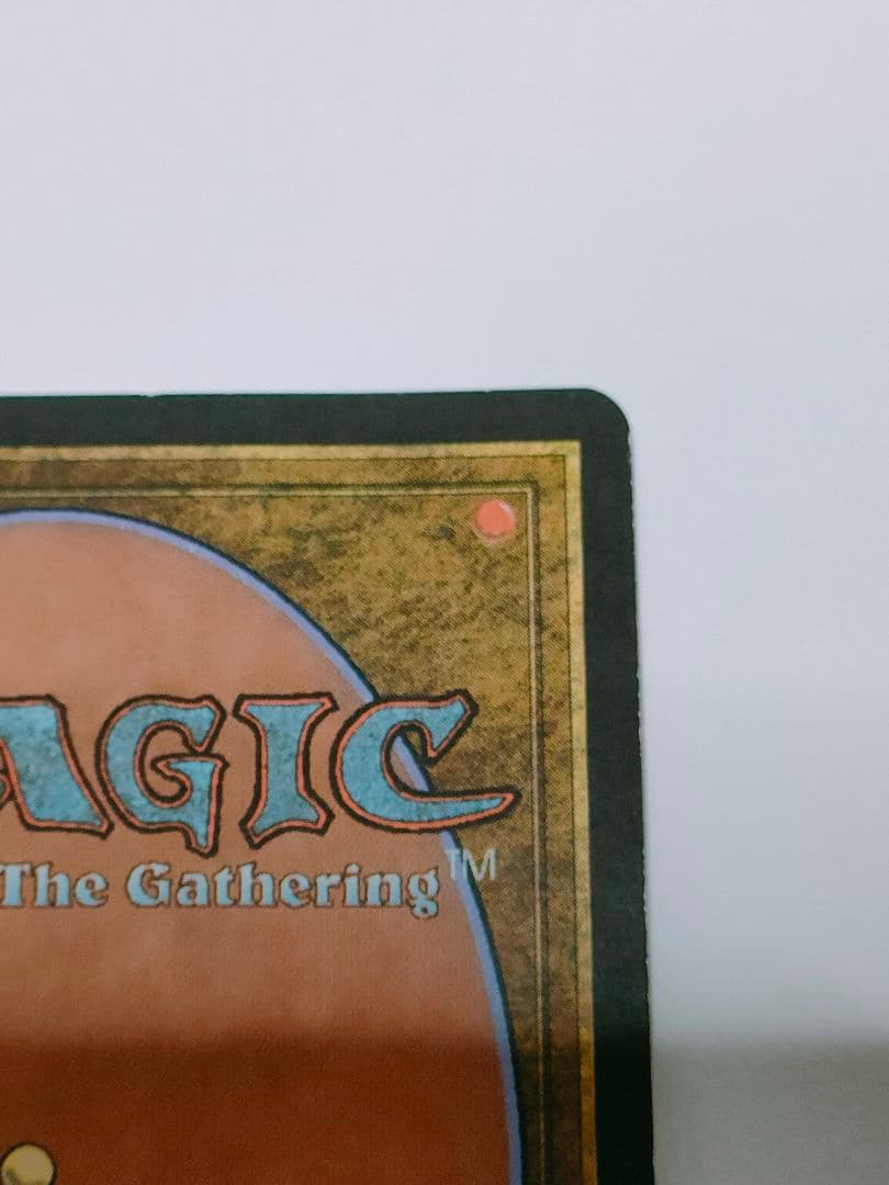 マジック：ザ・ギャザリング　適者生存