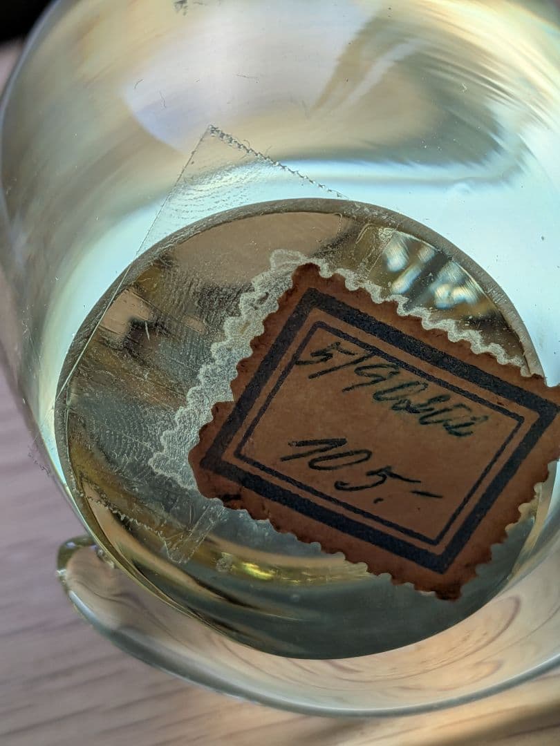 ヴィンテージボヘミアガラス製動物の置物