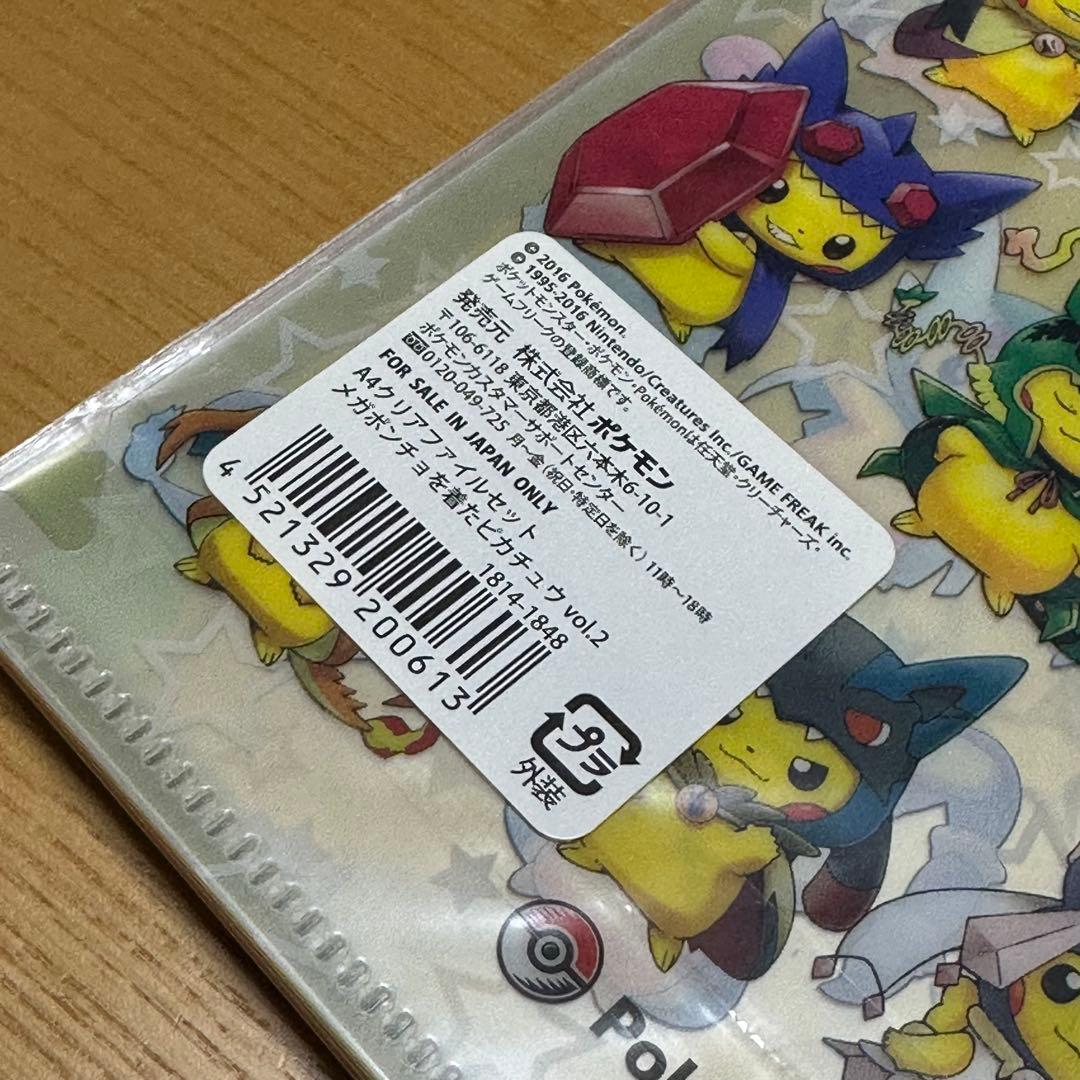 メガポンチョを着たピカチュウ vol.2 A4クリアファイルセット