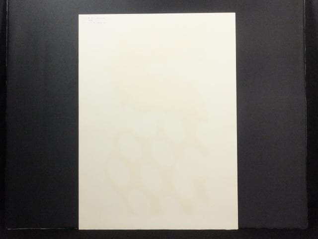 現代美術 菅井 汲　直筆サイン『S緑と黒』リトグラフ 1991年 0723N