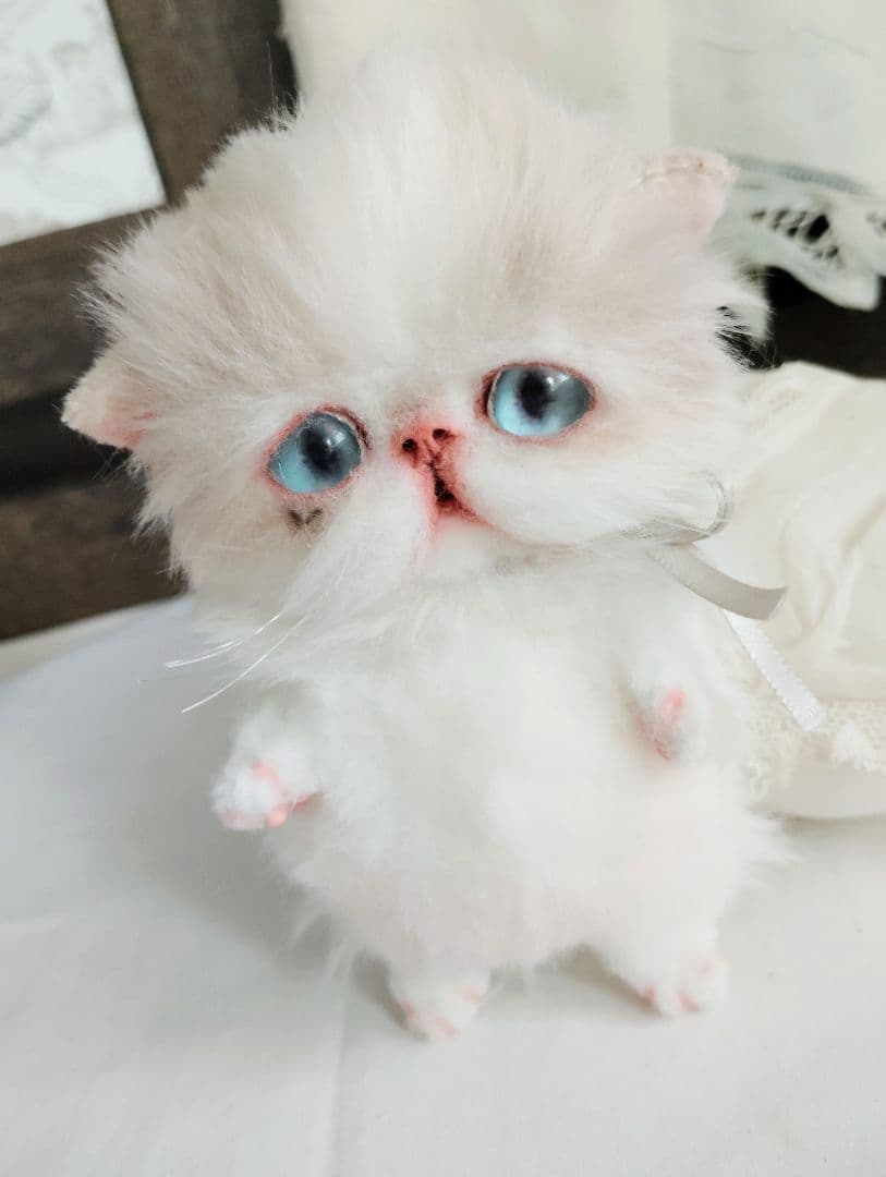 madame fufu様❤オーダー❤エキゾチック子猫ちゃん♡お腹ぽっこりちゃん♡