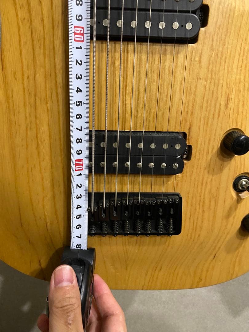 8弦ギター Agile ベアナックル&ディマジオSeptor 多弦