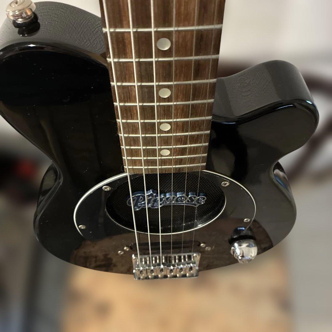 ピグノーズPGG200 ブラック