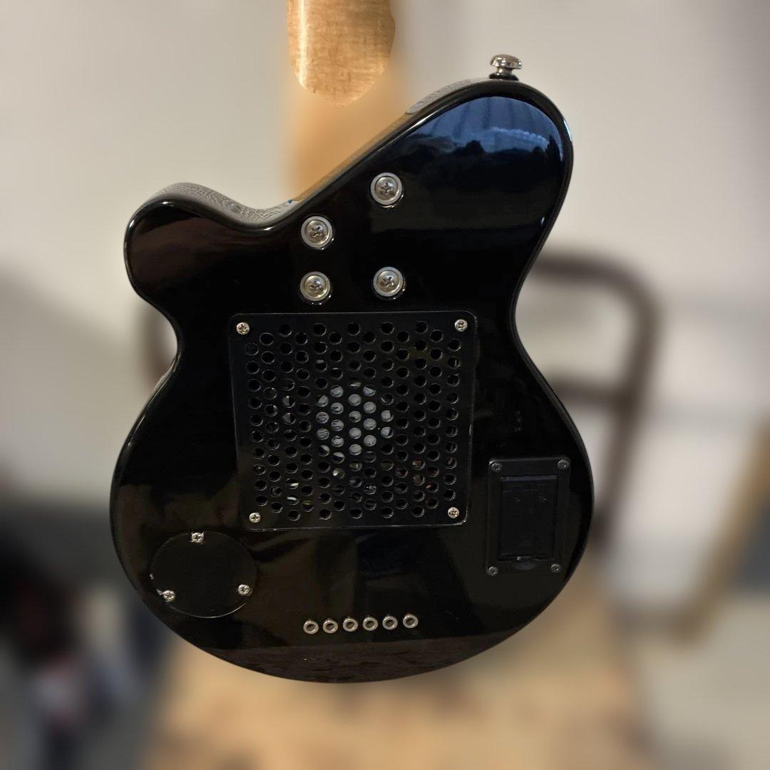 ピグノーズPGG200 ブラック