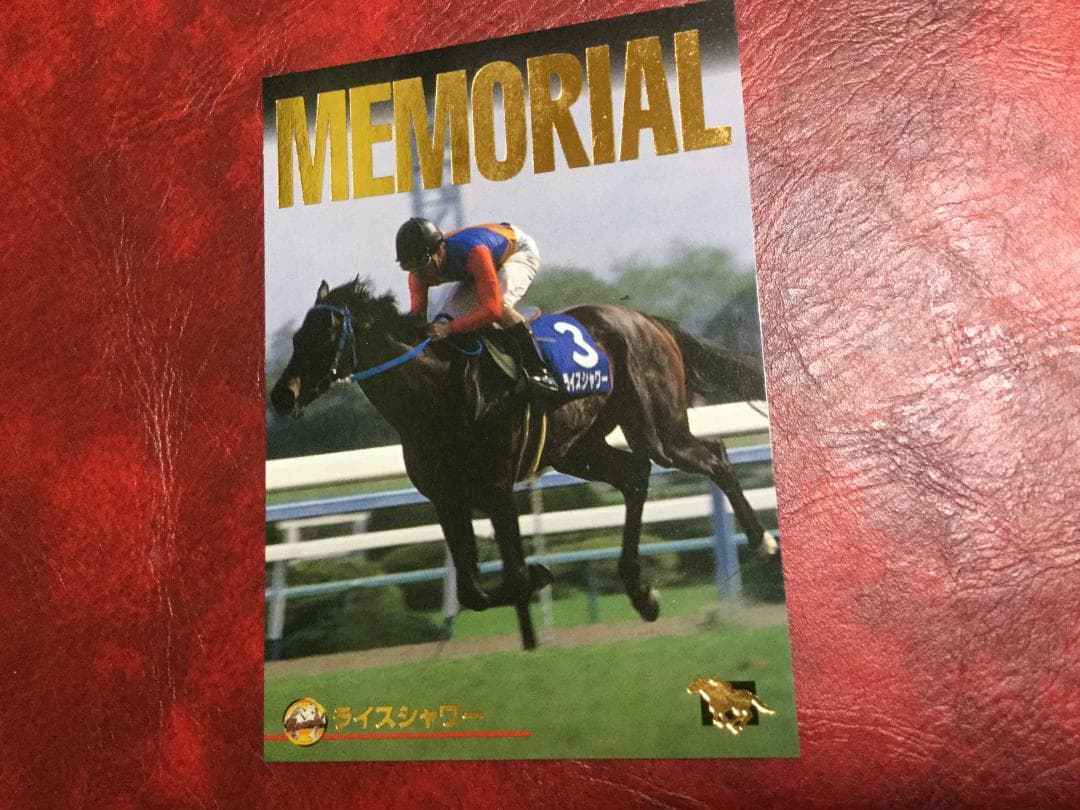 ライスシャワー　ホースレーシング　メモリアル　トレーディングカード
