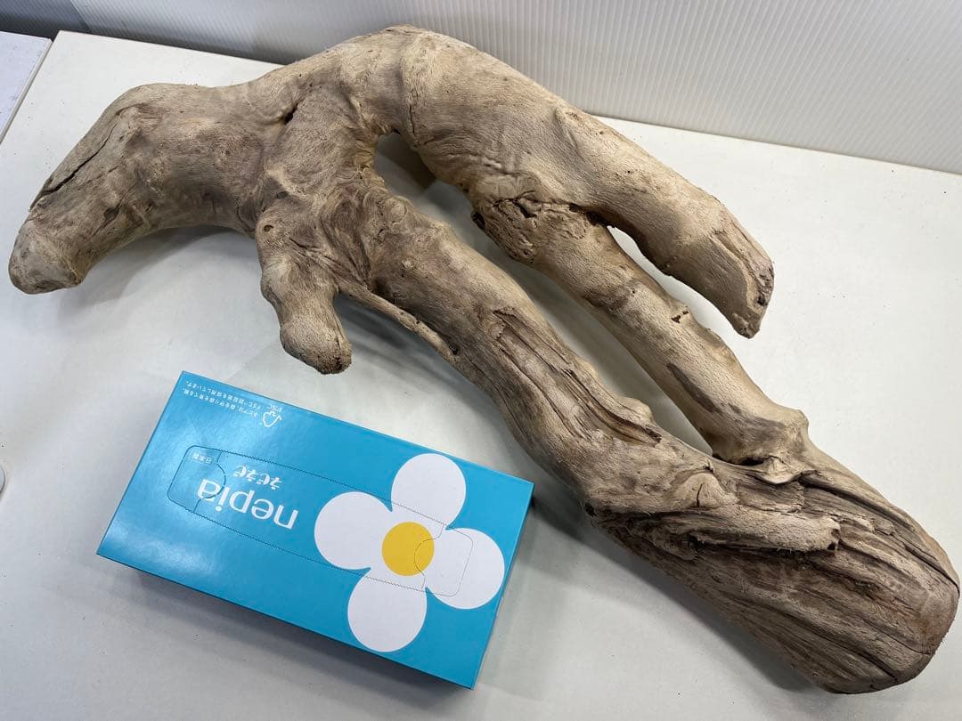 k6大型流木 アク抜き済み 爬虫類シェルター レイアウト用 登り木 インテリア