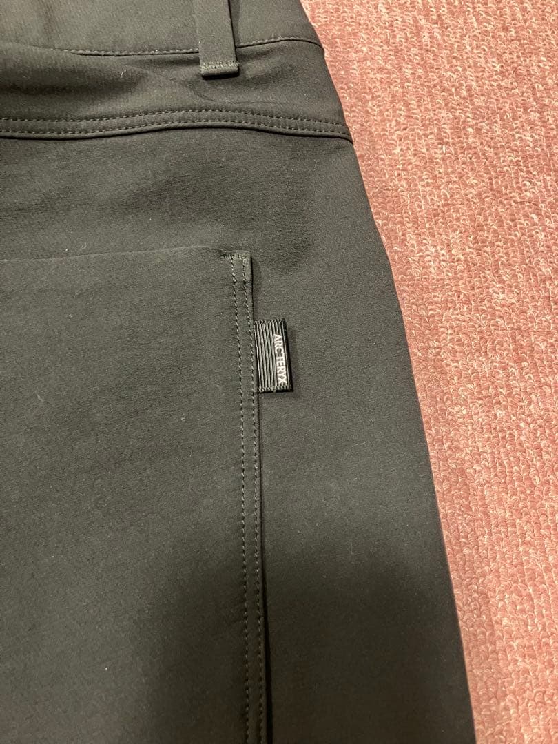 アークテリクス レヴォンウインターウェイトパンツ 30-R