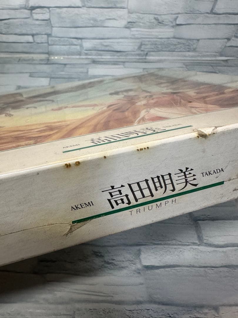 激レア 高田明美 凱旋する王 TRIUMPH ジグソーパズル 500ピース