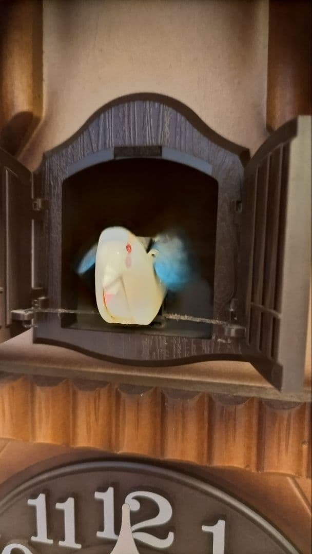 シチズン 鳩時計 ヴィンテージ稼動品 4MJ650-0