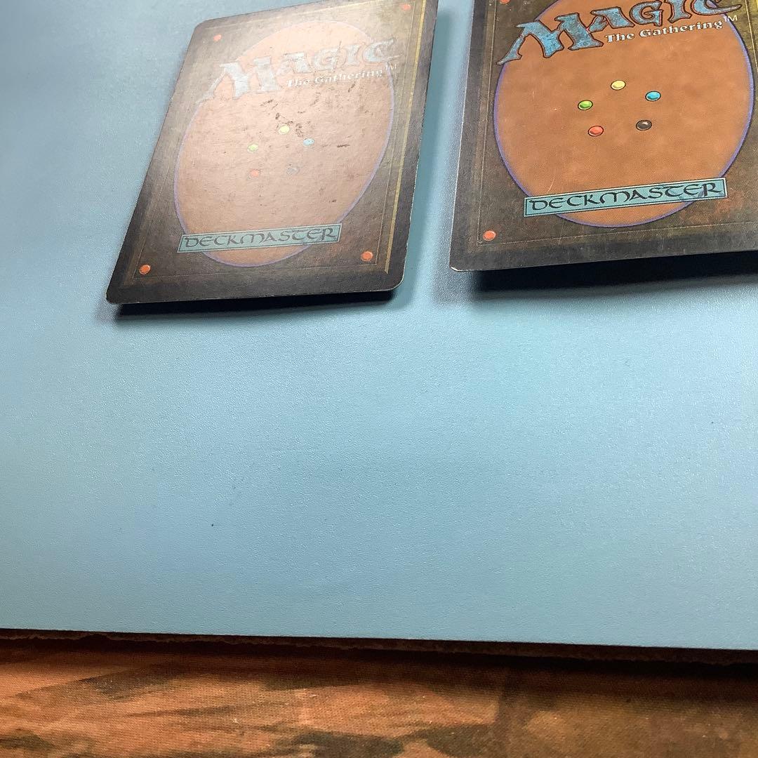 *バラ売り可* 適者生存　 EXO日本語2枚セット